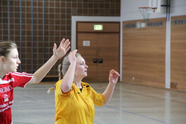 2017_02_19 Landesliga Frauen und Jugend 19